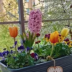 Lägenhet Veva - 2kk Blizko Centra, Balkon, Parkovani, Wi-fi *